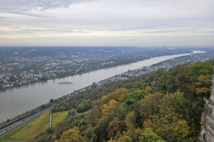 Drachenfelsbahn_18.10.2024_009
