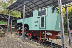 Drachenfelsbahn_18.10.2024_025