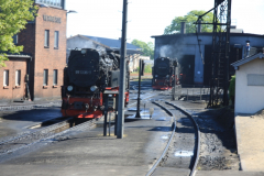 Brockenbahn_15.05.2013_013