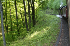 Brockenbahn_15.05.2013_023