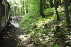 Brockenbahn_15.05.2013_025
