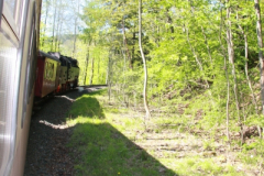 Brockenbahn_15.05.2013_026