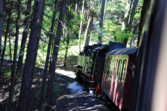 Brockenbahn_15.05.2013_031