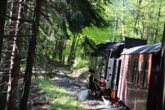 Brockenbahn_15.05.2013_032