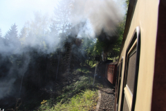 Brockenbahn_15.05.2013_033