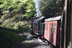 Brockenbahn_15.05.2013_035