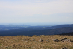 Brockenbahn_15.05.2013_039