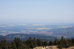 Brockenbahn_15.05.2013_041