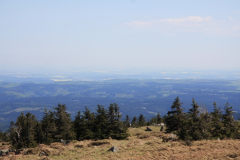 Brockenbahn_15.05.2013_042