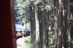 Brockenbahn_15.05.2013_050