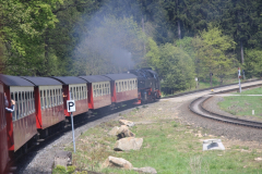 Brockenbahn_15.05.2013_052