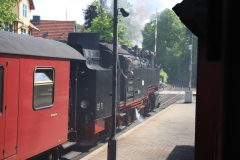 Brockenbahn_15.05.2013_054