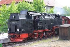 Brockenbahn_15.05.2013_074