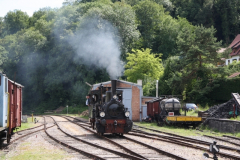 Kandertalbahn_12.06.201_13