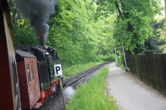 Harzquerbahn_16.05.2013_040