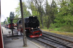 Harzquerbahn_16.05.2013_047