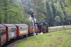 Harzquerbahn_16.05.2013_072