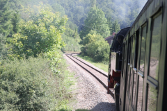 1_Schwarzwald_19x24.08.2010_146
