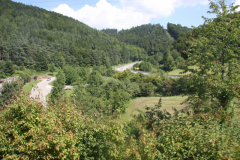 1_Schwarzwald_19x24.08.2010_151