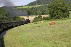 Schwarzwald_19x24.08.2010_300