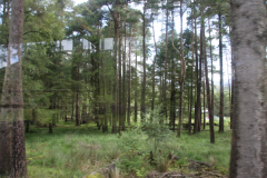 England_14.08.-05.09.15_0820