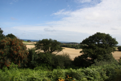 England_14.08.-05.09.15_0301