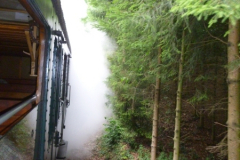 Train1900_05.07.2017_25