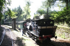 Train1900_11.09.2010_45