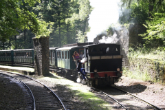 Train1900_11.09.2010_48