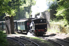 Train1900_11.09.2010_51