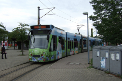 Freiburg_24.08.2010_3