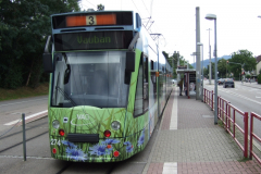 Freiburg_24.08.2010_5