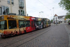 Freiburg_25.05.2015_3